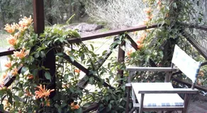 Redgum Hill Country Retreat - Image 3