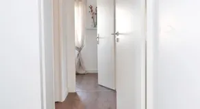 Cosy's Olivier - Image 4