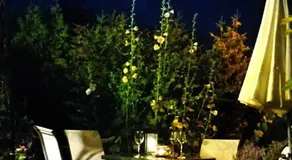 House Albena - Image 4