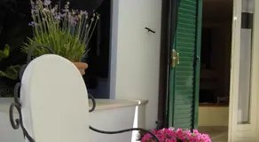 Il Giardino Delle Sete - Image 3