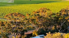 Norm's Vineyard Retreat - Image 5