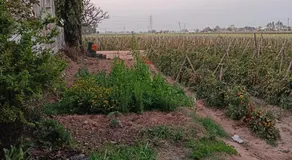 Padda Farm house - Image 3