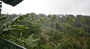 Rays Of Bliss Boutique Resort - Image 3