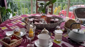 LA GRAND'VIGNE - Image 5