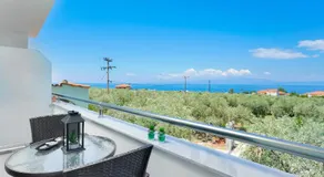 Sofia's Olive Grove - Image 4