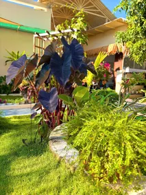 Cá Homestay Mũi Né - Image 4