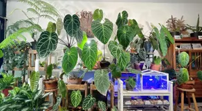 Home In Tainan - Image 4