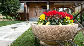 Bed and Breakfast MADERA - Image 4