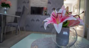 DIS apartman 1 - Image 5