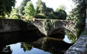 LES DOUVES charmante dépendance du château - Image 3