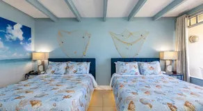 Come Stay Where the Dolphins Play! - Image 2