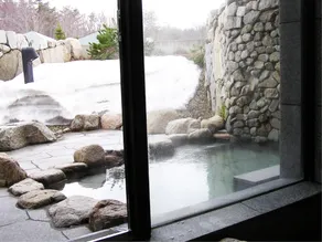 Hotel Foresta Chokai - Image 5