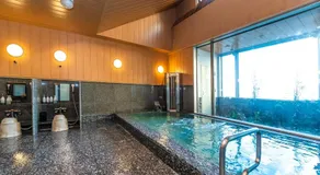 Hotel Mark-1 Tsukuba - Image 3