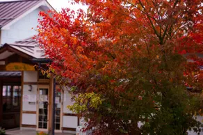Lodge Raven - Image 3