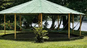 Ilan Ilan Tortuguero - Image 3