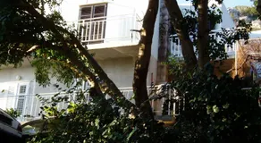 Apartmani Kunjasic - Image 4