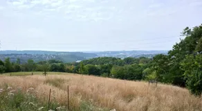 La tanière - Image 4
