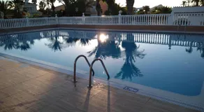 Estrella de Mar - Image 3