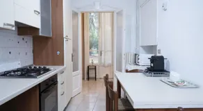 Casina modesta - Image 2