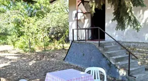 Bački Raj - Image 4