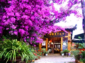 Lijiang International Youth Hostel - Image 3