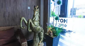 HOTEL PREMIUM - Image 2