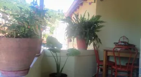 Nako Guest House bar&restaurants - Image 3
