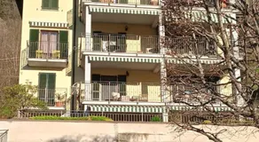 B&B Lori - Image 5