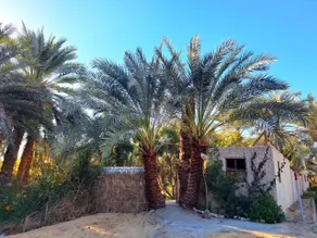 El-Beit - Image 4