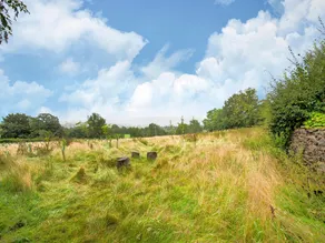 Vintage Holiday home in Welshpool with Garden - Image 3