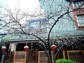 shengxilongHome hotel - Image 4
