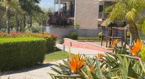 Paradise Aventura - Image 5