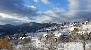 Gites Les Lupins avec Sauna et petit déjeuner inclus 2 a 4 personnes - Image 4