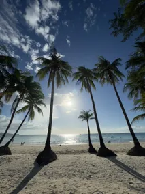 Wald's Place Boracay - Image 4