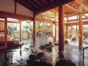 Yumeguri No Yado Matsunoya Kasen Guest House - Image 3