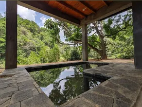 The Los t paradise - Rambukewela - Image 3