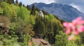 Pension Leano - Image 3
