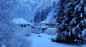 DaRenato - Image 5