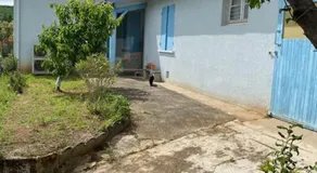 La maison bleue - Image 4