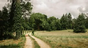 Château du Montellier - Image 5