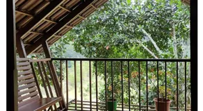 Tree House Wayanad - Image 2