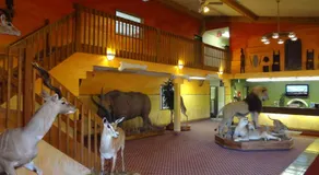 Kings Inn Cody - Image 3
