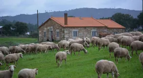 4QUINTAS - Image 5