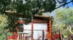 Casa en el Árbol - Image 4