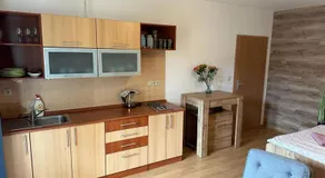 Apartman Zelezna Ruda - Image 4