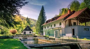 Stara ribogojnica & Pohorska postrv - Image 2