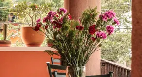 Posada Hacienda Real - Image 3