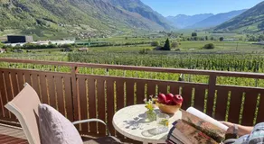 Residence Feldhof - Ferienwohnungen mit Bergblick im Vinschgau inklusive Guestpass - Image 5