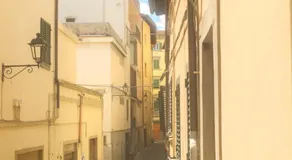 Il Gelsomino Storico - Image 5