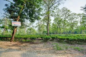 Hotel O Heritage Nest Resort Kazirnga - Image 5